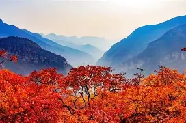 岭北朱雀队鏖战燕山战狼队，击剑公开赛惊险晋级，核心复出即建功。重拾自信的夜晚的简单介绍-开云精彩平台