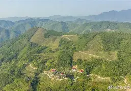 岭北朱雀队鏖战燕山战狼队，击剑公开赛惊险晋级，核心复出即建功。重拾自信的夜晚的简单介绍