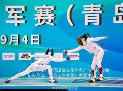 击剑预选赛，闽南铁骑队与蓬莱海豚队强势横扫，VAR改判成焦点！韧性比赛的样板的简单介绍